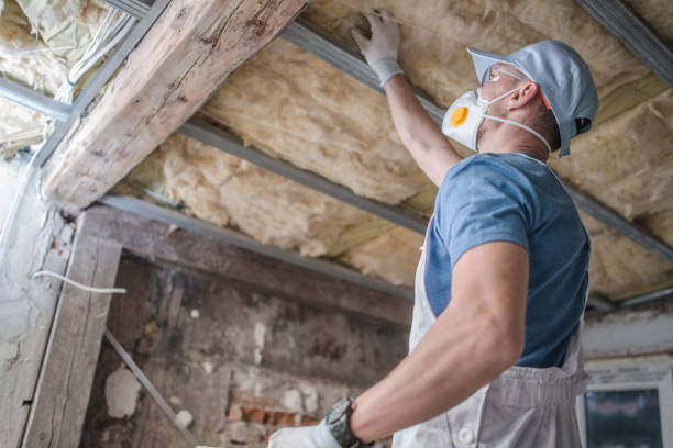 Best Cellulose Insulation in Timberville, VA