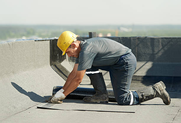 Best Spray Foam Insulation in Timberville, VA