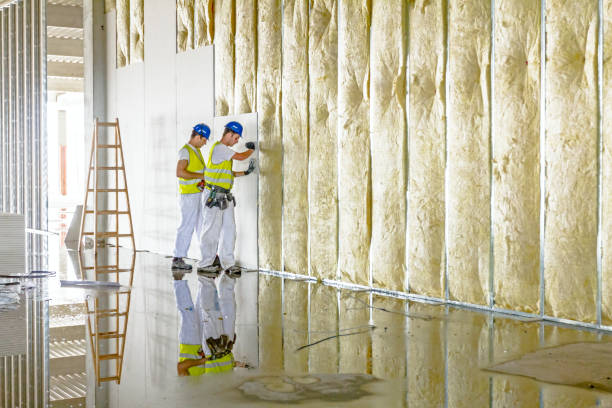 Types of Insulation We Offer in Timberville, VA